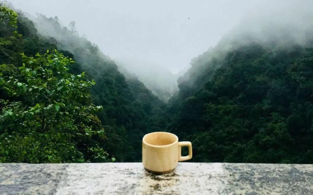  冬至|一杯甘露茗，与君待春阳