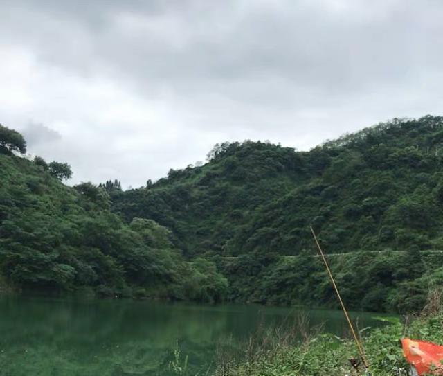 夏钓没口，浮漂成了“定海神针”，不是水里没有鱼，你得用这4招