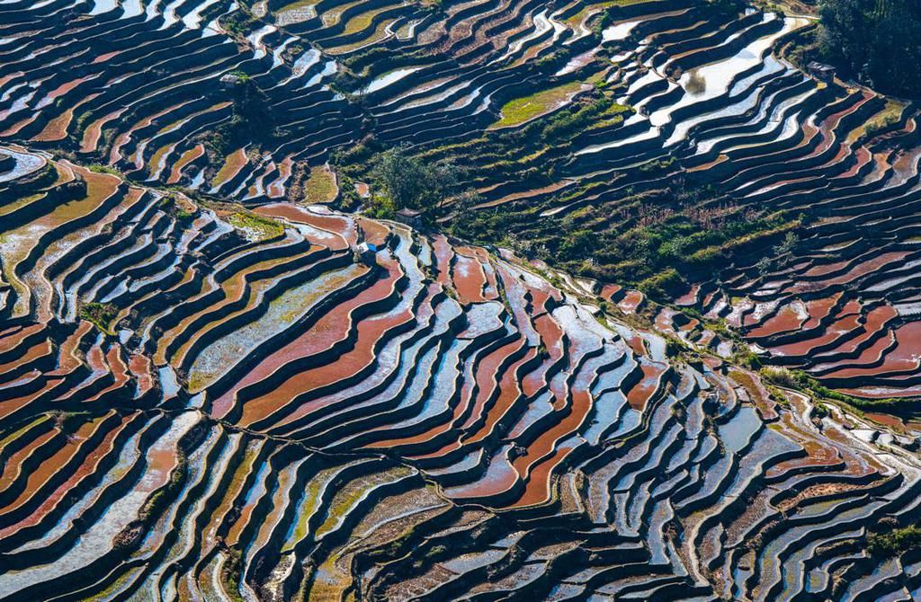 壮美元阳梯田，哈尼族人的大地艺术杰作