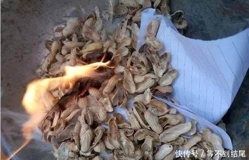 养花|吃剩的花生壳不要丢,这样处理下拿来养花,直接长疯了