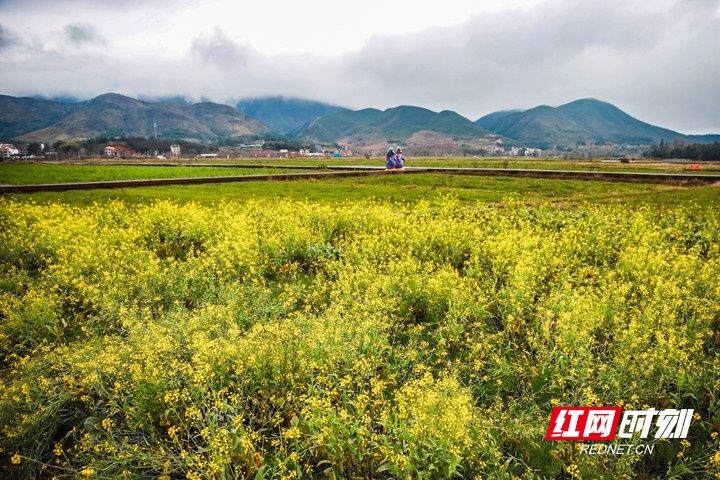 湖南|湖南蓝山：雨后乡村春色美（组图）