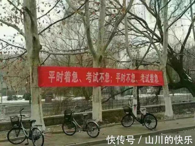 |幽默又搞笑的大学校园横幅,你见过吗?