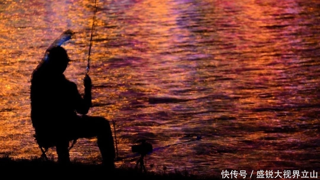 入口性|都说夏季一早一晚最好上鱼,可为什么还是空军?