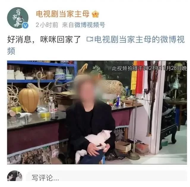 杨紫《女心理师》飞页？于正毒猫虐猫后续？她家艺人拿资源全靠献身；李湘王岳伦离婚？