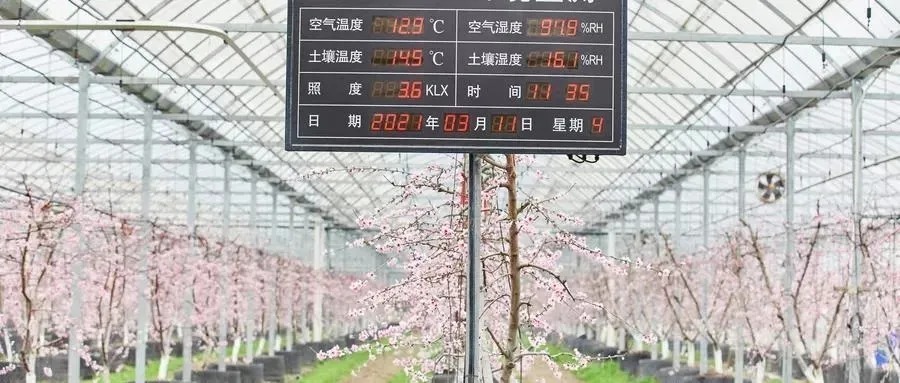 物联网|从“看天吃饭”走向“知天而作”,农业生产正在发生全方位改变