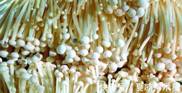 小窍门|很多人吃金针菇都会把根给丢了，学会这个小窍门，可以连吃一个月！