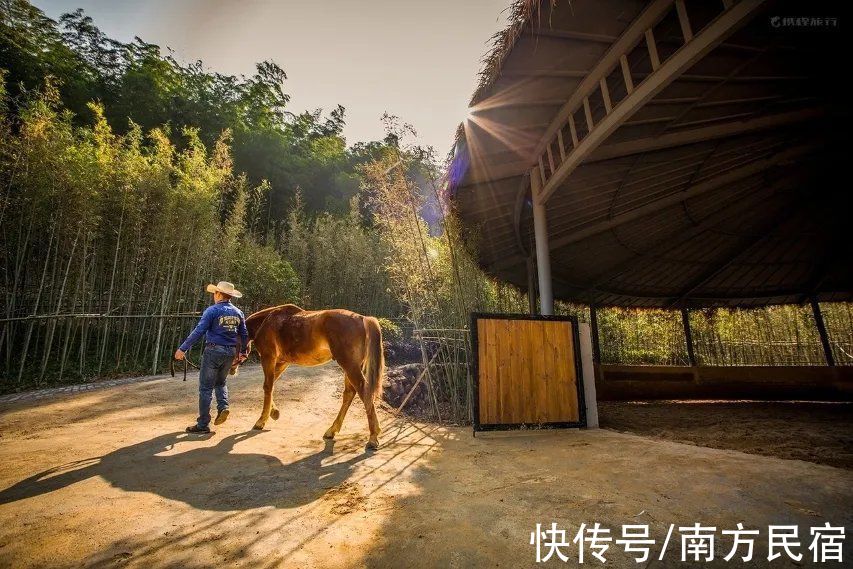 民宿|上海出发2h，周边最值得去温泉度假民宿，看飘雪泡温泉丨南方民宿