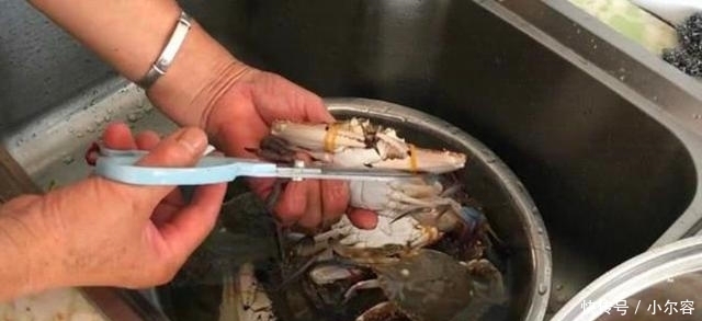 螃蟹|蒸螃蟹时,加葱加姜都不对!多加这2步,螃蟹不流黄不断腿,香
