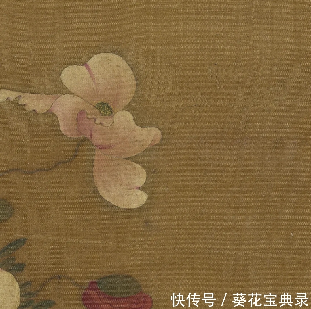 王渊$雅韵网---元代王渊之虞美人月季作品欣赏