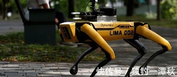智能汽车|车企扎堆发布智能机器人 小鹏小米特斯拉谁才是“头号玩家”