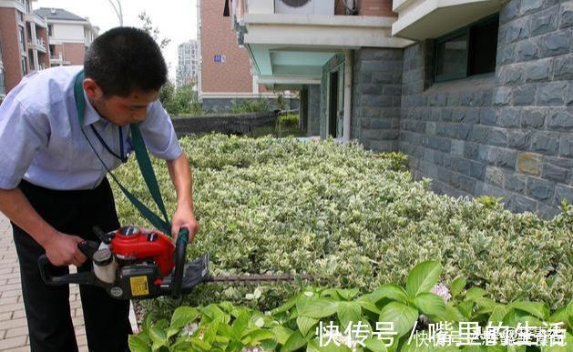别墅区|高层别墅混合小区千万不要买?内行指出“硬伤”,别等入住再后悔