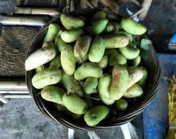 人称“肾果”,是农村娃美味零食,如今野生不多,30元一斤