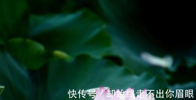 幸福|下个月内，缘分与桃花魂牵梦萦，真爱靠近，余生幸福的4大生肖