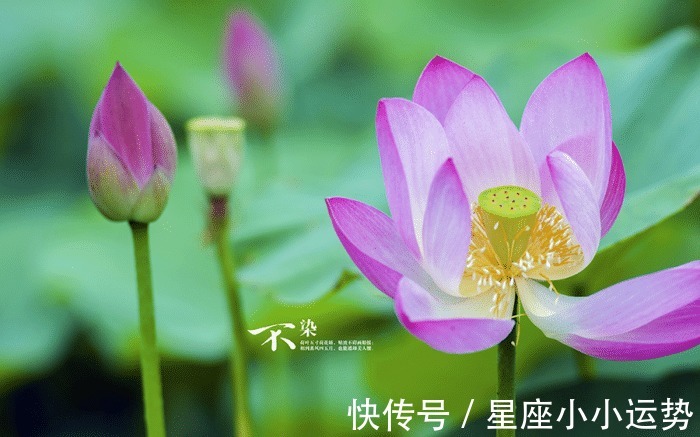 姻缘|未来2个月,被月老点鸳鸯,收获姻缘,享受爱情的3大生肖