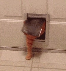 |开心一刻笑话 表弟开了个夜宵摊, 从暑假开始, 生意一落千丈