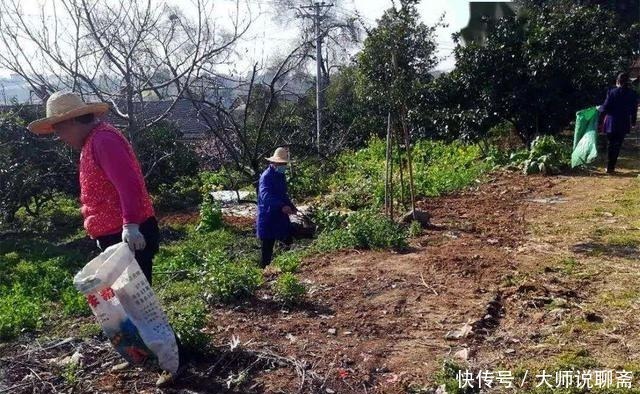 腐叶土|4种土，宁可扔了也别养花，不然累死也养不好！