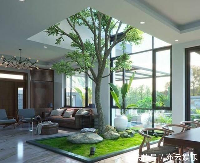 头一次见到户型不带院子,偏偏要在室内建庭院,没想到还这么漂亮