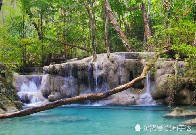 生肖狗|七月开始财运大开，八方来财，财运走高的生肖