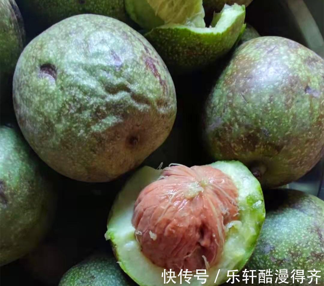 美味|立秋了，这4种坚果要多吃，美味营养高，缓解秋乏，安稳度秋天