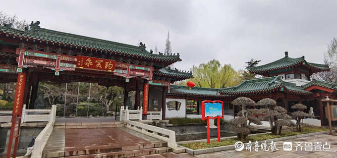 赏景好去处！雪后济南趵突泉，树木葱茏空气清新美如画