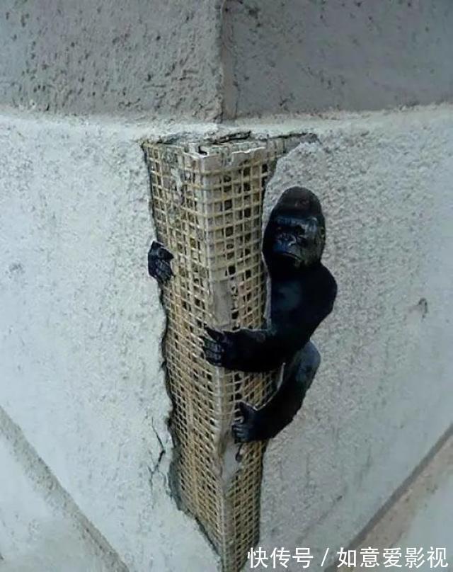 |22个搞笑创意，让你不由地感叹，这些人真无聊，不过我喜欢？