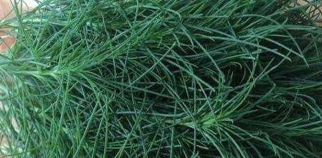 皮肤瘙痒|农村荒野这些野菜,嫩茎叶可清炒,野香十足,好吃又防病治病!