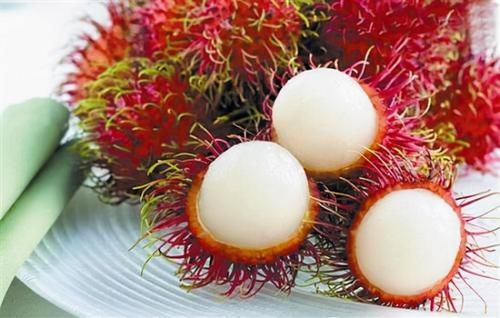 健康|会吃的人最健康，3种食物离不开，补充营养，身体棒棒哒！