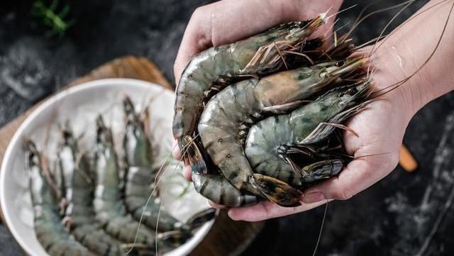 同样是虾,海虾和河虾有什么区别30年虾贩子告诉你,别买错了