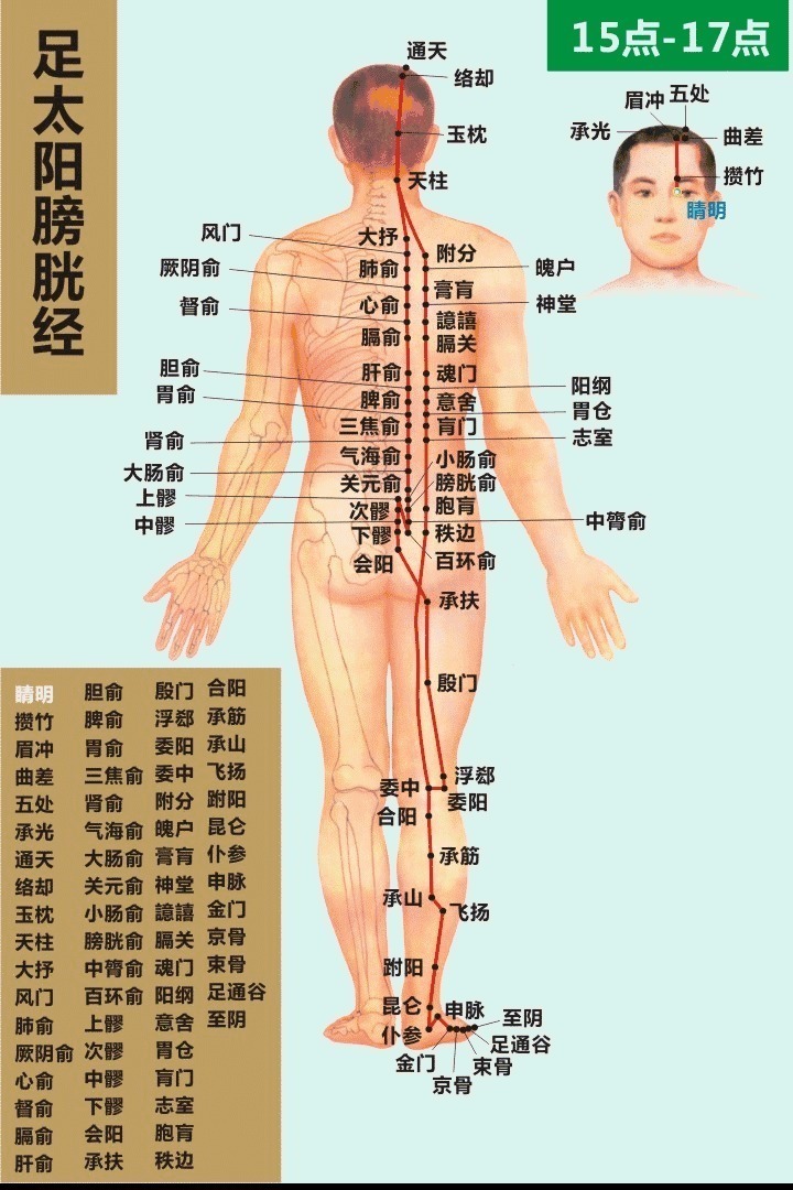 中年|从头到脚，它是人体最大的阳气经络，今天