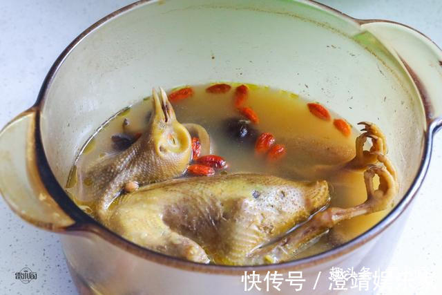 “一鸽胜九鸡”,教你鸽子汤的正确煲法,汤鲜味美,营养还翻倍