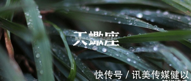 水瓶座|这三大星座意志坚定：气质非凡拥有一颗顽强内心，能够迎难而上