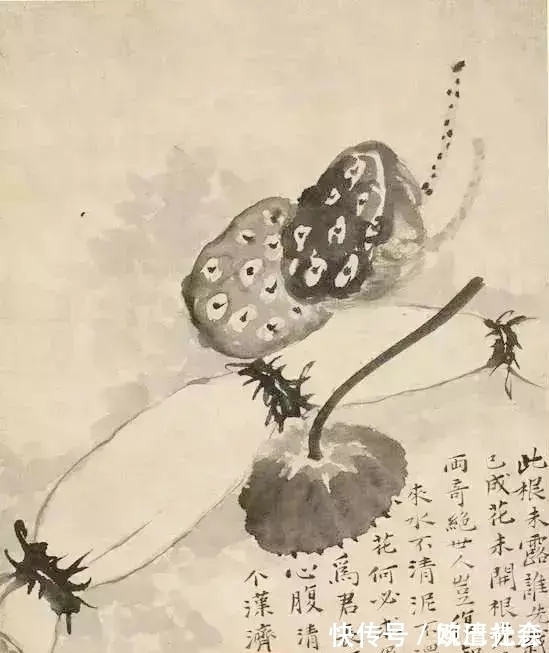 远影#白头相见两萧条,乡国不知何处是,乱山无数思迢递