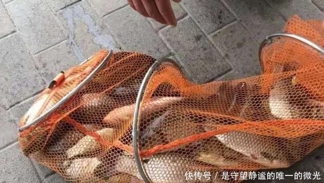 不管三七二十一,春季只要牢记4句口诀,鲫鲤鱼轮番上钩,倍儿爽