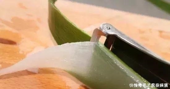 养花|家里养花不要瞎眼！这6种花旺财又养人，有2种花是大忌！