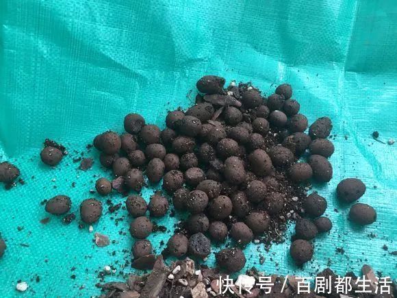 养花必备“排水物”,解决养花人的大难题!