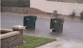 |搞笑GIF:买了双鞋子掉毛就认了,结果还自带染色功能