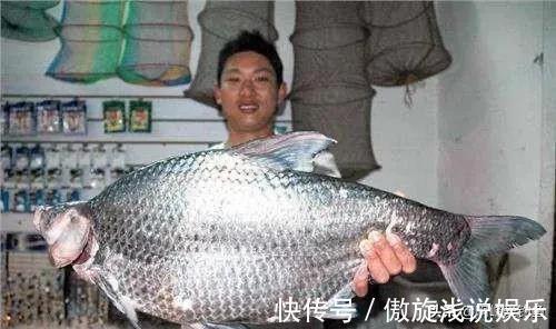 你们还在认为八九斤的那是鳊鱼吗？正确区分鲂鱼，鳊鱼的方法在这
