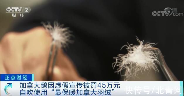 加拿大|冲上热搜！这个网红品牌“翻车”了！因虚假宣传被罚
