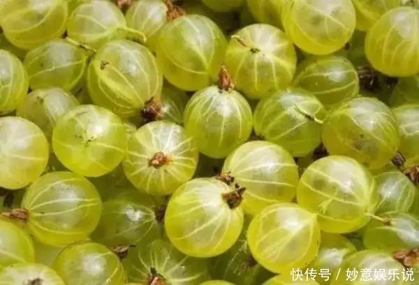 盘点世界上特别的水果,你吃过几种,我认为第六种最好吃