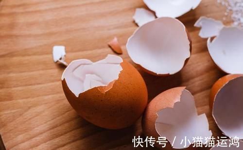 泡水|鸡蛋壳泡水多长时间可以浇花?浇什么花最好?