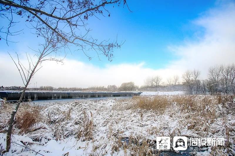 雪景|烟台终于下雪了！（附烟台绝美冰雪图）