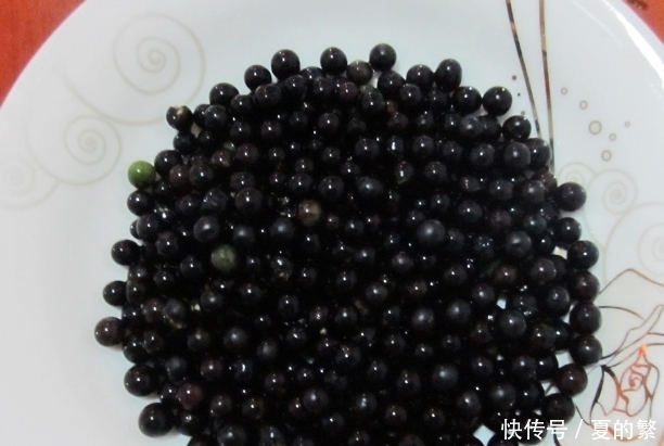 農村|農村常見野果，成熟后可入藥，可以治療多種炎癥，野葡萄你吃過嗎