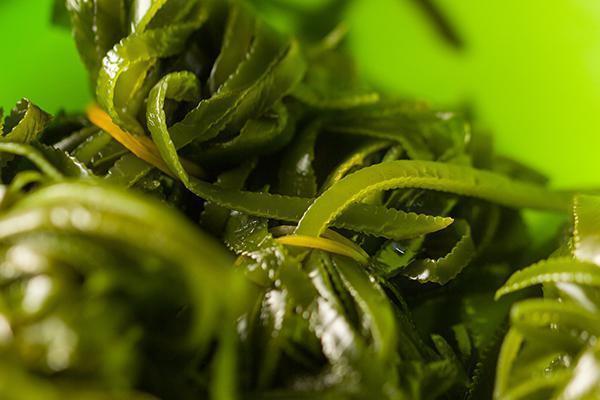 食物|甲状腺长了结节,不能吃西兰花真正不能吃的食物,医生列给你