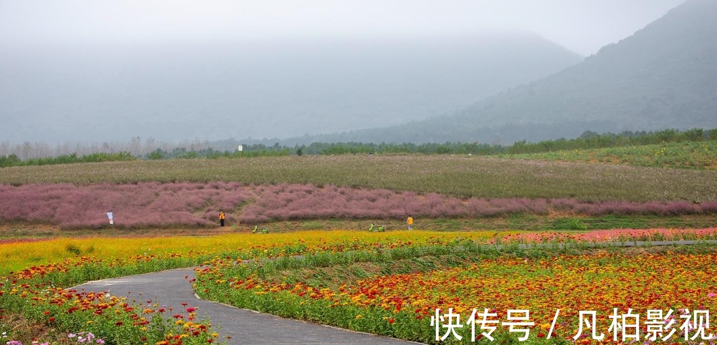 东洼|冬瓜村 一个秋天里五彩斑斓的童话