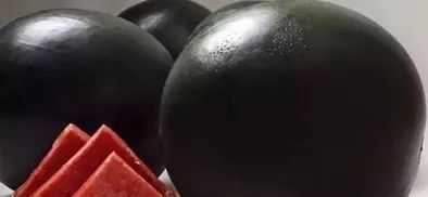 草莓|世界上最贵的水果,吃过3种以上的都是土豪啊