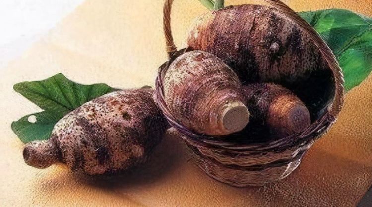 养颜|适合冬天吃的3种食物,排毒养颜、延缓衰老,早吃早好!