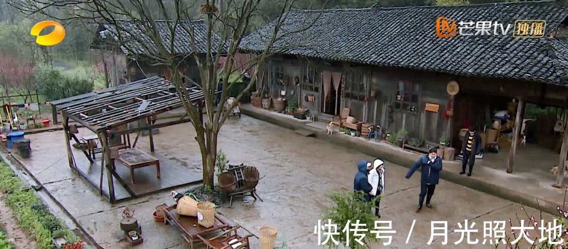 五年之癢|《向往的生活》五年之癢張藝興初秀亮點多,但這幾點仍未知