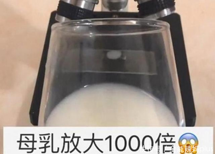 母乳|母乳是“活”的?在1000倍显微镜下长这样,纯净到令人不敢相信