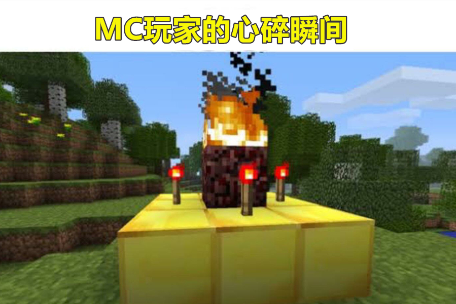 心碎|我的世界:如果warden遇到了村民谁会赢?我认为村民赢了