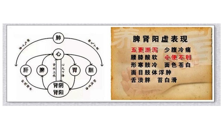 寒气重的时候吃什么可以最容易排出来?医生说:要看内寒还是外寒